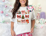 Jesus is the reason for the season