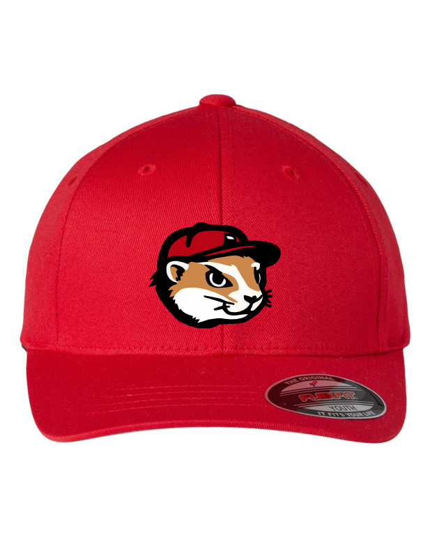 Fighting Ferrets - HAT OPTION (Adult/Youth)