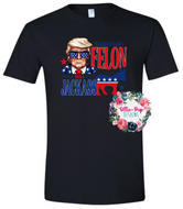 I'd rather vote for a felon than a jackass