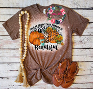 Fall is proof that change is beautiful