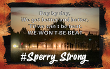 Load image into Gallery viewer, Sperry Strong
