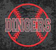 Dingers Baseball - 20oz Skinny Tumbler