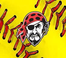 Load image into Gallery viewer, Lady Pirates - Tumblers
